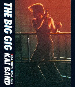 THE BIG GIG[Blu-ray] / 甲斐バンド