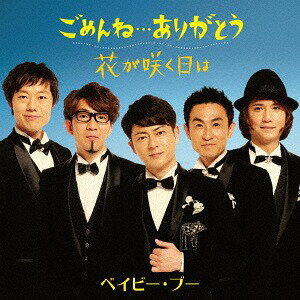 ごめんね...ありがとう[CD] / ベイビー・ブー
