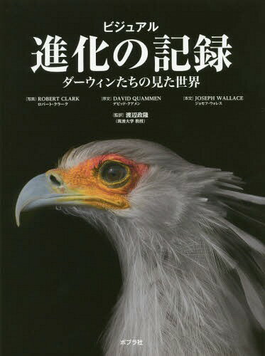 ビジュアル進化の記録 ダーウィンたちの見た世界 / 原タイトル:Evolution[本/雑誌] / ロバート・クラーク/写真 ジョセフ・ウォレス/本文 渡辺政隆/監訳