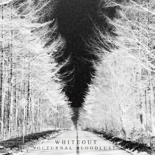 WHITEOUT CD DVD付初回限定盤 / NOCTURNAL BLOODLUST