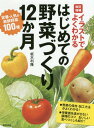 イラストでよくわかるはじめての野菜づくり12か月 定番・人気の新鮮野菜100種[本/雑誌] / 板木利隆/著