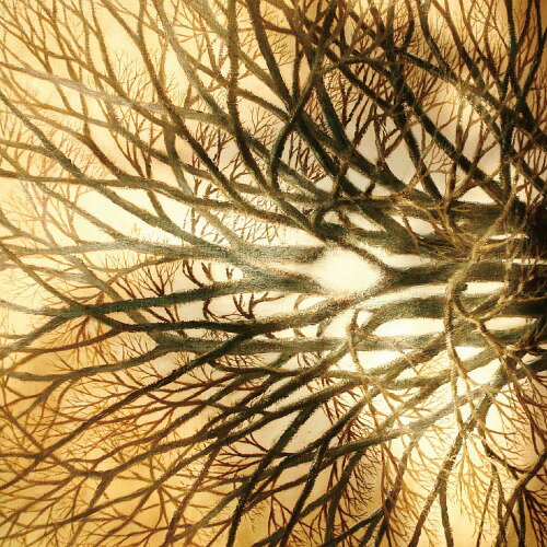 太陽[CD] / オプチミシン