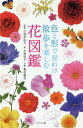 ご注文前に必ずご確認ください＜商品説明＞本書は園芸植物、野草、樹木を問わず、庭や花壇、道端、公園など、身のまわりでよく見かける代表的な花555種を掲載した花図鑑です。初心者でも花の種類を調べやすいよう、花の色と形の両方で直感的に検索できるのが特長です。美しい写真やわかりやすい解説文はもちろん、香りや手ざわりなど五感を使った観察のすすめ、つながっている生き物の紹介など、豊富な情報を満載しています。＜収録内容＞黄色の花オレンジ色の花赤色の花ピンク色の花紫色の花青色の花白色の花＜商品詳細＞商品番号：NEOBK-2223596Daichi Keiko / Cho Koike Appi Inishie / Kanshu Kameda Ryukichi / Shashin / Iro to Katachi De Miwake Sampo Wo Tanoshimu Hana Zukanメディア：本/雑誌重量：390g発売日：2018/04JAN：9784816364372色と形で見わけ散歩を楽しむ花図鑑[本/雑誌] / 大地佳子/著 小池安比古/監修 亀田龍吉/写真2018/04発売