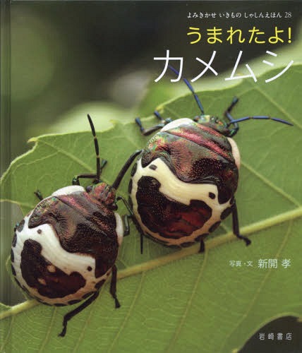 ޤ줿!ॷ[/] (ߤΤ㤷󤨤ۤ) / /̿ʸ