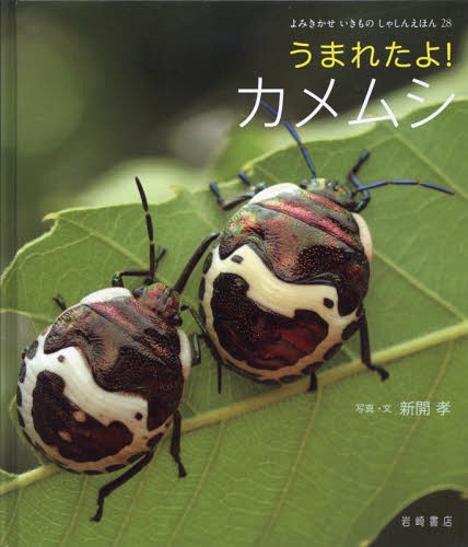 うまれたよ!カメムシ[本/雑誌] (よみきかせいきものしゃしんえほん) / 新開孝/写真・文