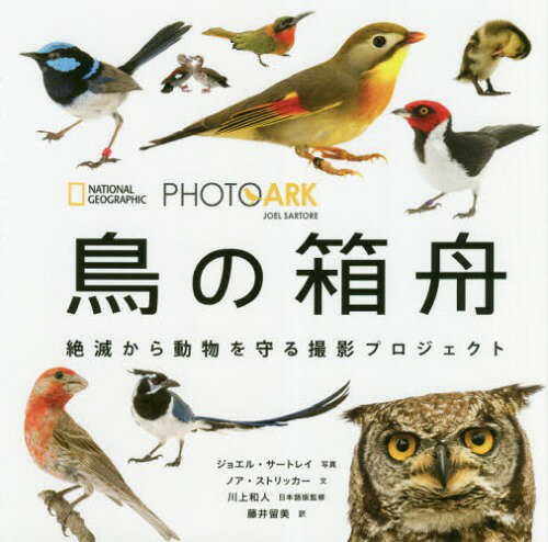 ̔M ł瓮BevWFNg / ^Cg:BIRDS OF THE PHOTO ARK[{/G] (NATIONAL) / WGET[gC/ʐ^ mAEXgbJ[/ al/{ŊďC 䗯/