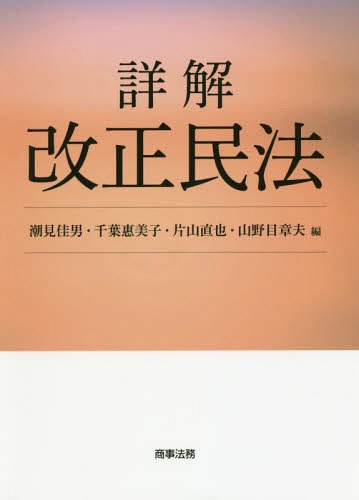 詳解改正民法[本/雑誌] / 潮見佳男/編 千葉惠美子/編 片山直也/編 山野目章夫/編