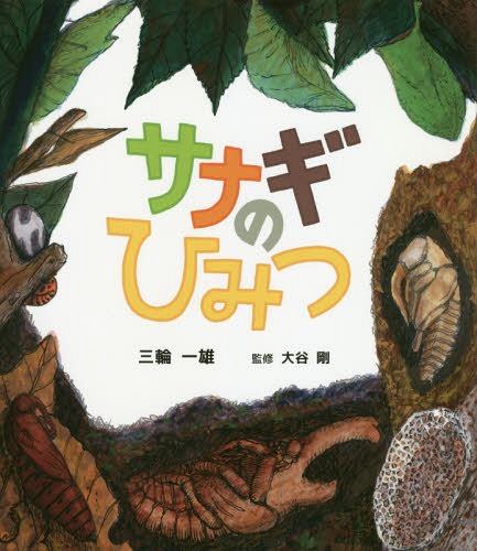 サナギのひみつ[本/雑誌] (ポプラサイエンスランド) / 三輪一雄/著 大谷剛/監修