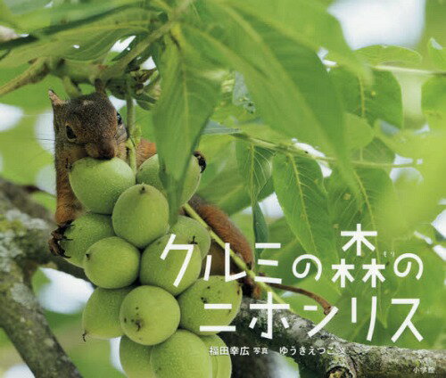 [書籍のメール便同梱は2冊まで]/クルミの森のニホンリス[本/雑誌] (小学館の図鑑NEOの科学絵本) / ゆうきえつこ/文 福田幸広/写真