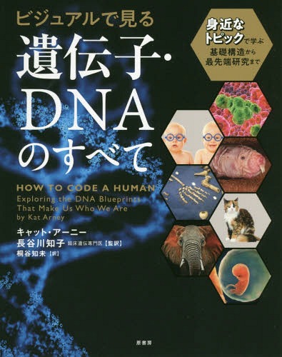 ビジュアルで見る遺伝子・DNAのすべて 身近なトピックで学ぶ基礎構造から最先端研究まで / 原タイトル:HOW TO CODE A HUMAN[本/雑誌] / キャット・アーニー/著 長谷川知子/監訳 桐谷知未/訳