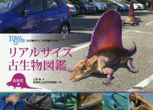 リアルサイズ古生物図鑑 古生物のサイズが実感できる! 古生代編[本/雑誌] / 土屋健/著 群馬県立自然史博物館/監修のサムネイル