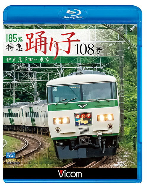 ビコム ブルーレイ展望 185系 特急踊り子108号 伊豆急