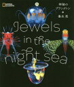 Jewels in the night sea 神秘のプランクトン (NATIONAL)[本/雑誌] / 峯水亮/写真・著