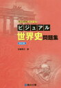 ビジュアル世界史問題集 本/雑誌 (駿台受験シリーズ) / 佐藤專次/著