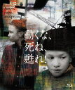 ご注文前に必ずご確認ください＜商品説明＞世界を驚嘆させた天才、ヴィターリー・カネフスキー監督の伝説的傑作。 第2次大戦直後、ソビエトの極東にある炭鉱町・スーチャン。純粋無垢だが不良ぶっている12歳の少年・ワレルカは、母親への反発と相まって悪戯をエスカレートさせていく。 リーフレット封入。＜収録内容＞動くな、死ね、甦れ!＜アーティスト／キャスト＞ヴィターリー・カネフスキー(演奏者)　パーヴェル・ナザーロフ(演奏者)＜商品詳細＞商品番号：KKBS-135Movie / Don’t Move Die And Rise Again!メディア：Blu-ray収録時間：105分リージョン：Aカラー：モノクロ発売日：2018/10/27JAN：4523215223393動くな、死ね、甦れ![Blu-ray] / 洋画2018/10/27発売