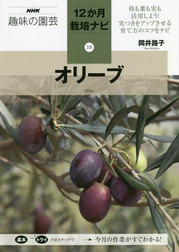 ご注文前に必ずご確認ください＜商品説明＞風になびく銀白色の葉、ゆっくり色づく果実、芳醇な風味のオリーブ漬けや黄金色に輝くオイル。暮らしを豊かにするオリーブの、実つきをよくする剪定や仕立て方、活用法を紹介します。＜収録内容＞オリーブの基本と楽しみ方(オリーブの魅力オリーブはどんな木?オリーブ栽培で知っておきたいこと ほか)12か月栽培ナビ(オリーブの年間の作業・管理暦1月2月 冬の剪定/強剪定/仕立て方/施肥/土壌改良 ほか)オリーブの病気や害虫と対策(オリーブのふやし方オリーブQ&A日本のオリーブ栽培の歴史 ほか)＜商品詳細＞商品番号：NEOBK-2288706Okai Michiko / Cho / Olive (NHK Shumi No Engei 12 Kagetsu Saibai Navi 10)メディア：本/雑誌重量：207g発売日：2018/10JAN：9784140402849オリーブ[本/雑誌] (NHK趣味の園芸 12か月栽培ナビ 10) / 岡井路子/著2018/10発売