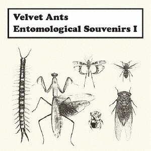 Entomological Souvenirs I (昆虫記 その1)[CD] / Velvet Ants