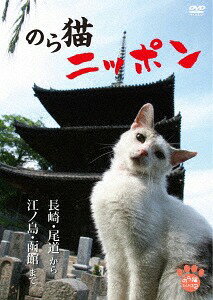 のら猫ニッポン ～長崎・尾道から江ノ島・函館まで～[DVD] / 趣味教養