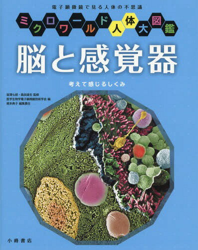 脳と感覚器 考えて感じるしくみ 電子顕微鏡で見る人体の不思議[本/雑誌] (ミクロワールド人体大図鑑) /..