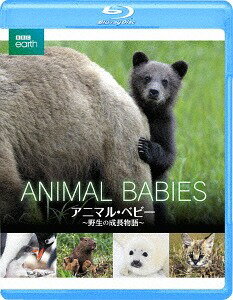 BBC earth アニマル・ベビー ～野生の成長物語～[Blu-ray] / ドキュメンタリー