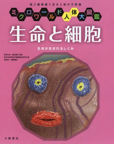生命と細胞 生命が生まれるしくみ 電子顕微鏡で見る人体の不思議[本/雑誌] (ミクロワールド人体大図鑑)..