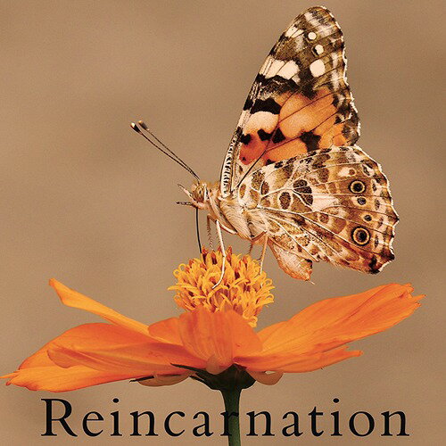 Reincarnation[CD] [TYPE C] / NEVERLAND