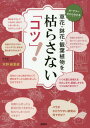 ご注文前に必ずご確認ください＜商品説明＞植物を枯らす主な原因は、水やり、肥料やり、日照不足、病害虫の4つ。「仕組み」がわかれば、植物が元気に育つ。失敗しない!咲かせる!91の「コツ」。＜収録内容＞1 だれもが植物を枯らす—4つの原因と対策(植物が枯れる四つの原因水やりのポイント ほか)2 置き場所で考えよう—植物栽培のコツとアイデア(ベランダ栽培のポイント室内栽培のポイント ほか)3 季節ごとにコツがある!—ガーデナーが教える栽培の工夫(夏越しのポイント冬越しのポイント ほか)4 栽培のポイントはここ!—上手に育てて花を咲かせる(草花栽培のポイント樹木栽培のポイント ほか)＜商品詳細＞商品番号：NEOBK-2341213Amano Marie / Cho / Kusabana Bachi Hana Kanyoshokubutsu Wo Karasanai ”Kotsu” ! Ga Denadakara Wakaruメディア：本/雑誌重量：340g発売日：2019/03JAN：9784062209304草花・鉢花・観葉植物を枯らさない「コツ」! ガーデナーだからわかる[本/雑誌] / 天野麻里絵/著2019/03発売