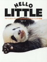 HELLO LITTLE アドベンチャーワールドで生まれたあかちゃんパンダの奇跡 本/雑誌 / 小澤千一朗/著