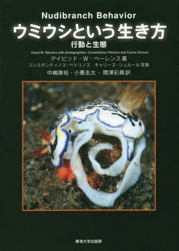ߥȤ ư / ȥ:Nudibranch Behavior[/] / ǥӥåɡW١/ 󥹥ƥΥ...