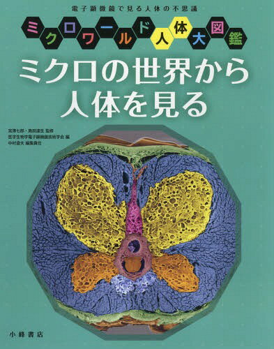 ミクロの世界から人体を見る 電子顕微鏡で見る人体の不思議[本/雑誌] (ミクロワールド人体大図鑑) / 宮..