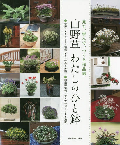 [書籍のゆうメール同梱は2冊まで]/山野草 わたしのひと鉢[本/雑誌] (別冊趣味の山野草) / 栃の葉書房