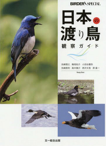 日本の渡り鳥観察ガイド[本/雑誌] (BIRDER) / 先崎理之/著 梅垣佑介/著 小田谷嘉弥/著 先崎啓究/著 高..