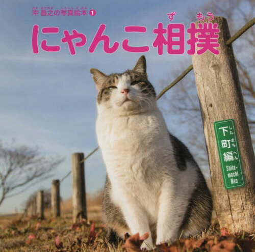 にゃんこ相撲 下町編 本/雑誌 (沖昌之の写真絵本) / 沖昌之/写真 あんどうなつ/文