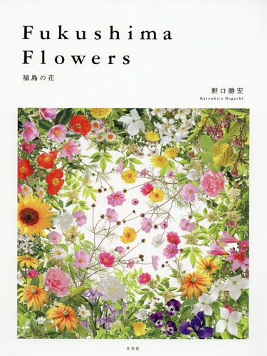 Fukushima Flowers ̉[{/G] / G/