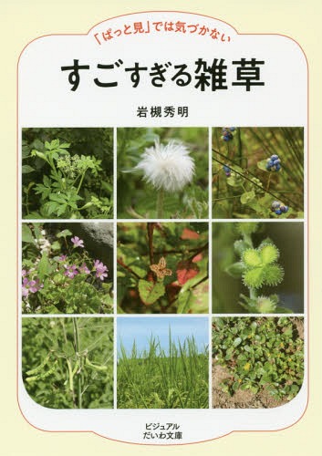 「ぱっと見」では気づかないすごすぎる雑草[本/雑誌] (ビジュアルだいわ文庫) / 岩槻秀明/著のサムネイル