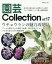 園芸Collection 17[本/雑誌] (別冊趣味の山野草) / 栃の葉書房