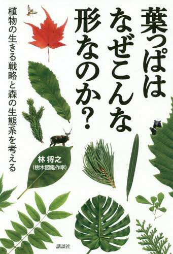 葉っぱはなぜこんな形なのか? 植物の生きる戦略と森の生態系を考える[本/雑誌] / 林将之/著