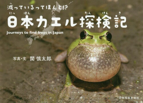 減っているってほんと!?日本カエル探検記[本/雑誌] / 関慎太郎/写真・文のサムネイル