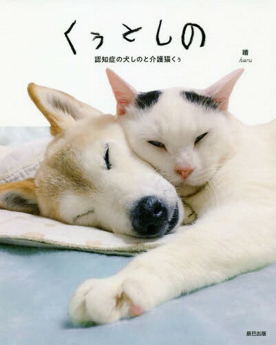 くぅとしの 認知症の犬しのと介護猫くぅ[本/雑誌] / 晴/著のサムネイル