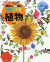 植物 本/雑誌 【カバー DVDなし堅牢版】(講談社の動く図鑑MOVE) / 天野誠/監修 斎木健一/監修