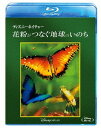 ご注文前に必ずご確認ください＜商品説明＞大自然の中に生きる動物の家族を中心に、知られざる生態と生命の営みを綴るドキュメンタリーシリーズ。食物連鎖の下層にいながら地球の生命維持のために必要な蝶、蜂、コウモリにフォーカス。花の視点から描く感動と美しさ、不思議なストーリーを収録。ピクチャーレーベル。＜商品詳細＞商品番号：VWBS-6857Movie / Disneynature: Wings Of Lifeメディア：Blu-ray収録時間：80分リージョン：Aカラー：カラー発売日：2019/07/17JAN：4959241775207ディズニーネイチャー/花粉がつなぐ地球のいのち[Blu-ray] / 洋画2019/07/17発売