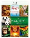 ご注文前に必ずご確認ください＜商品説明＞大自然の中に生きる動物の家族を中心に、知られざる生態と生命の営みを綴るドキュメンタリーのBOX。『〜クマの親子の物語』『〜サバンナを生きる百獣の王』『〜チンパンジー愛すべき大家族』『〜フラミンゴに隠された地球の秘密』ほか全7作品を収録。ピクチャーレーベル。＜商品詳細＞商品番号：VWBS-6859Movie / Disneynature Blu-ray Collectionメディア：Blu-rayリージョン：Aカラー：カラー発売日：2019/07/17JAN：4959241775245ディズニーネイチャー[Blu-ray] ブルーレイ・コレクション / 洋画2019/07/17発売