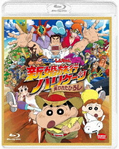 映画 クレヨンしんちゃん 新婚旅行ハリケーン ～失われたひろし～[Blu-ray] / アニメ