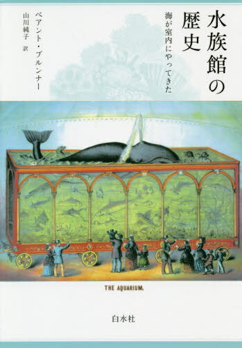ご注文前に必ずご確認ください＜商品説明＞「生きた博物館」にして人工の生態系でもある水族館。その前史であるアクアリウムはいかにして誕生したのか。海中世界に憧れた人々の試行錯誤をたどりながら、現代の水族館が向かう先を見据えるユニークな文化史。カラー・モノクロ図版多数。＜収録内容＞プロローグ—まずは飛びこんで最初の種—海洋の神秘第二の種—小部屋、陳列棚、ケース第三の種—魚をペットに「情熱と勤勉」—開拓者たち強くあくなき追求—ブームの火つけ役海水アクアリウムから淡水アクアリウムへ—ガラスの中の湖アメリカへの上陸—アクアリスト協会と博物館異国の品種とその輸送—分かれる考え方流行の見本市—居間用アクアリウムのさまざまな形式「新種の劇場」—大型のアクアリウムアクアリウムからオセアナリウムへ、そしてその先へ水族館の暗い深層＜商品詳細＞商品番号：NEOBK-2397702Bear N to Bull N Na / Cho Yamakawa Junko / Yaku / Suizokukan No Rekishi Umi Ga Shitsunai Ni Yattekita New Edition / Original Title: the OCEAN at HOMEメディア：本/雑誌重量：386g発売日：2019/08JAN：9784560097243水族館の歴史 海が室内にやってきた 新装版 / 原タイトル:THE OCEAN AT HOME[本/雑誌] / ベアント・ブルンナー/著 山川純子/訳2019/08発売