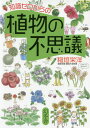 知識ゼロからの植物の不思議[本/雑誌] / 稲垣栄洋/著