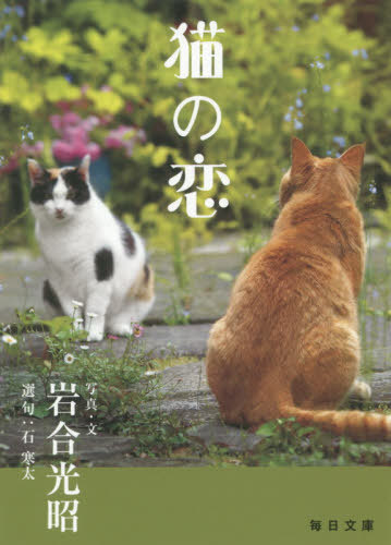 猫の恋[本/雑誌] (毎日文庫) / 岩合光昭/写真・文 石寒太/選句