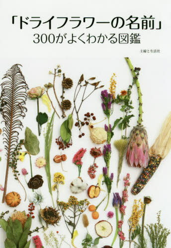 ֥ɥ饤ե̾300褯狼޴[/] / ؤ