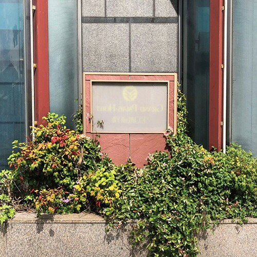󥿡ͥåȤΤʤ[CD] / ϥͥ