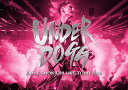 EXILE SHOKICHI LIVE TOUR 2019 UNDERDOGG DVD 初回生産限定 / EXILE SHOKICHI