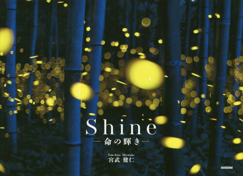 Shine-̋P[[{/G] / {m/